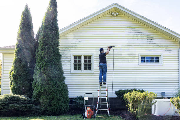 Best Dumpster Area Cleaning  in Mowbray Mountain, TN